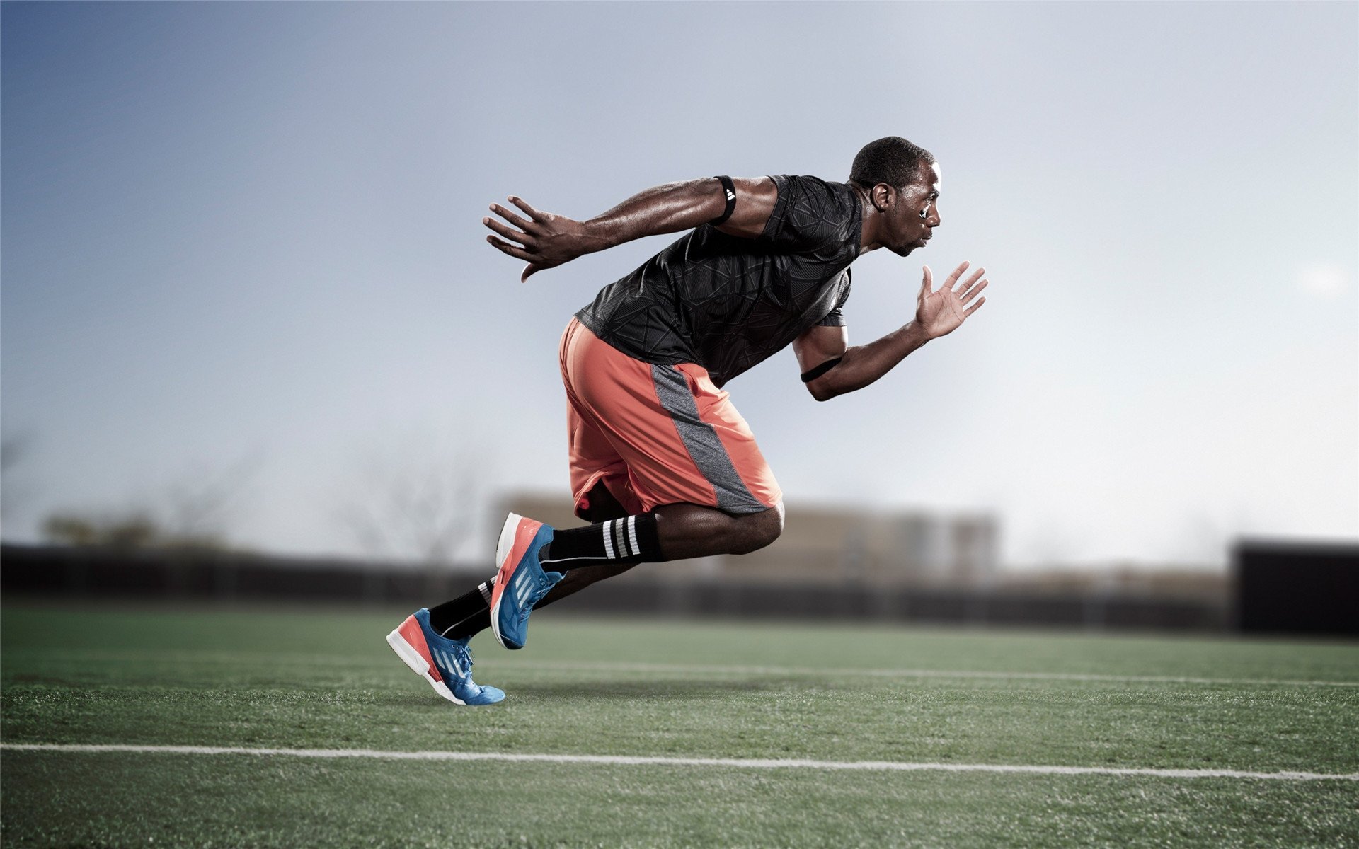 塞内加尔男篮在非洲锦标赛中发光发热，铸就非洲新明星，塞内加尔足球队非洲排名